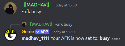 AFK Command Preview