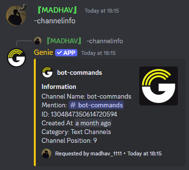 Channelinfo Command Preview
