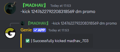 Kick Command Preview