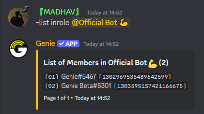 List roles Command Preview