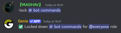 Lock Command Preview