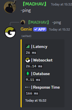 Ping Command Preview