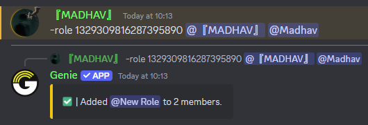 Role Command Preview