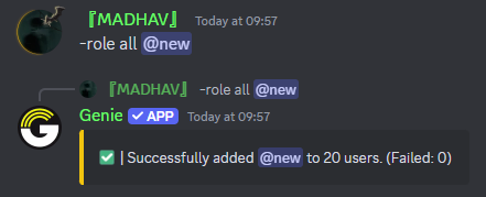 Role All Command Preview