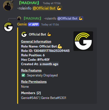 Roleinfo Command Preview