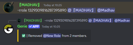 Rrole Command Preview