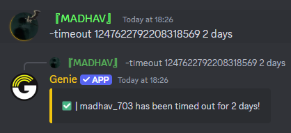 Timeout Command Preview