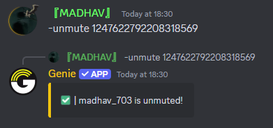 Unmute Command Preview