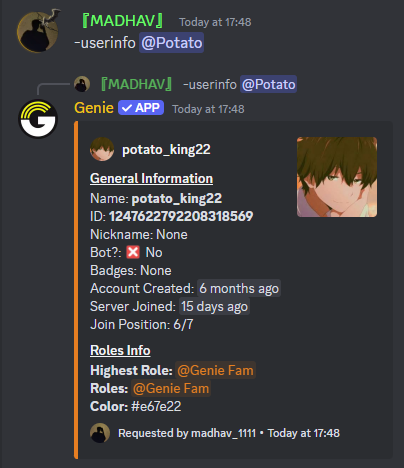 Userinfo Command Preview